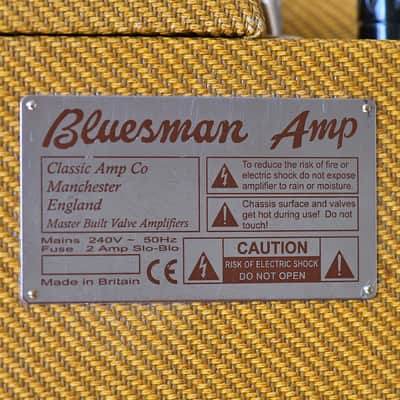 Gartone Bluesman 2000,s - Tweed 12w image 3