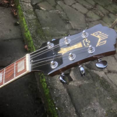 Guild Bluesbird image 17