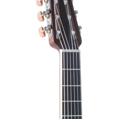 Ovation CS24C-4 Celebrity Traditional Mid-Depth Cutaway Lyrachord Body Solid Cedar Top 6-String Nylon Classical Acoustic-Electric Guitar w/Hard Case image 4