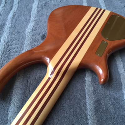 Alembic Roque 5 image 7