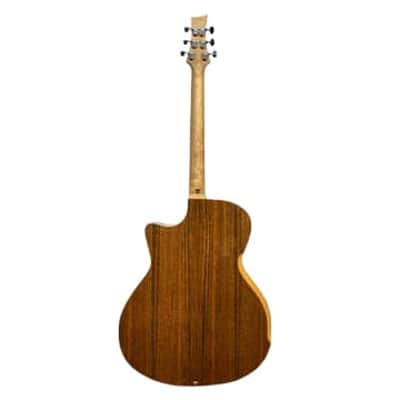 Riversong P2P-GA-Bari Baritone Guitar image 4