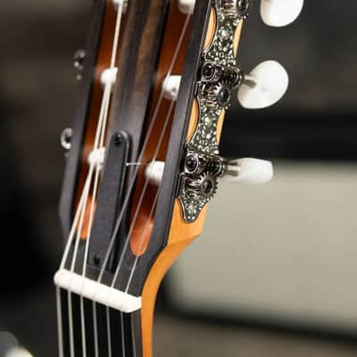 Taylor 214ce-N Nylon Grand Auditorium Acoustic/Electric Guitar with Gig Bag image 7