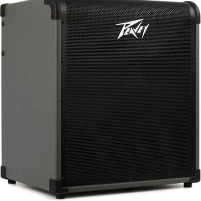 Peavey MAX 300 2 x 10-inch 300-watt Bass Combo Amp image 1