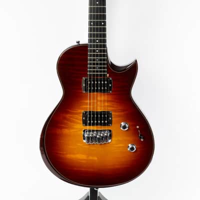 Taylor SB-1 Solidbody Standard 2007 Aged Cherry Sunburst image 2