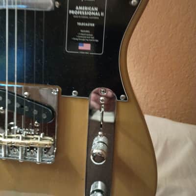Fender American Professional II Telecaster Ash With Roasted Maple Fretboard 2023 - 2024 - Butterscotch Blonde image 2