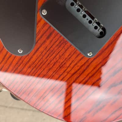 PRS SE Special - Swamp Ash image 8