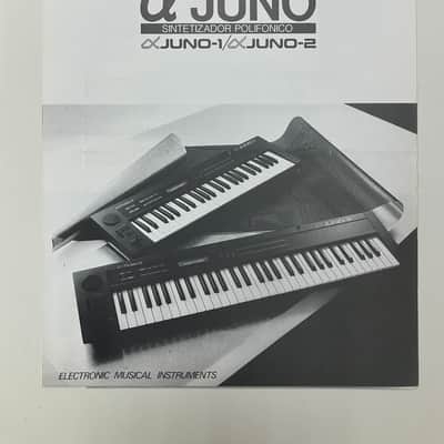 Roland Alpha Juno-2 + PG-300 Programmer + manuals, etc. image 23