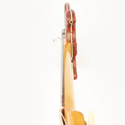1962 Gagliano by Hofner Model 172 - Rare Diamond Pickup with Red & Gold Vinyl Covering! image 21