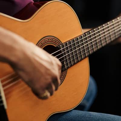 Ortega R200SN Traditional Series Cedar Top Mahogany Neck Nylon 6-String Classical Acoustic Guitar w/Gig Bag image 19