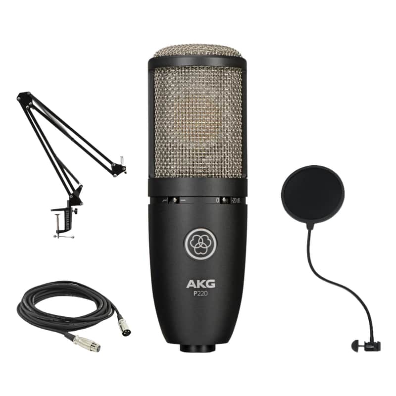 AKG P220 Large-diaphragm Condenser Microphone with Gator Pop Filter, StreamEye Adjustable Boom Arm and XLR Cable image 1