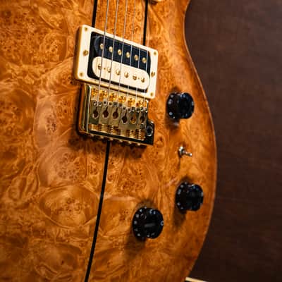 PRS Private Stock #2220 Santana Signature - Pre-Owned (s/no. 09 152193) 2009 image 20