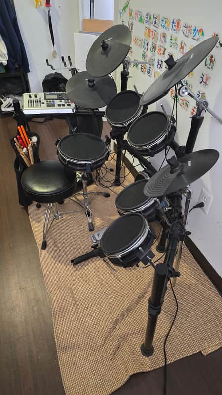 Alesis DM10 MkII Pro Kit Electronic Drum Set 2010s - Black image 1