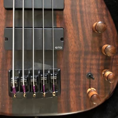 Modulus TBX5 2018 Walnut image 3