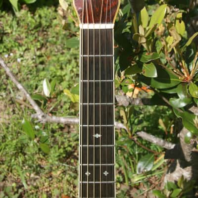 1986 Yairi D 35 YW-500P - Natural+Hard Case image 19