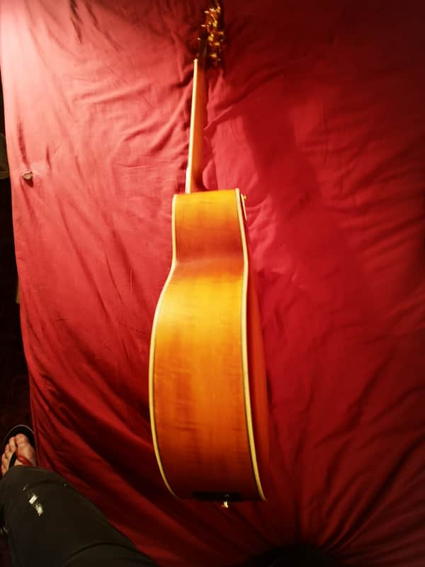 Ibanez AEL40SE-RLV-1202 (Resonant Natural Low Gloss Top / Vintage