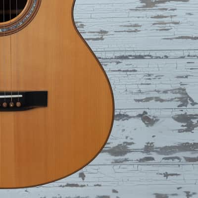 Manzer Baritone "Pat Metheny" image 14