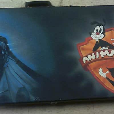 Unknown Guitar Case imagen 1