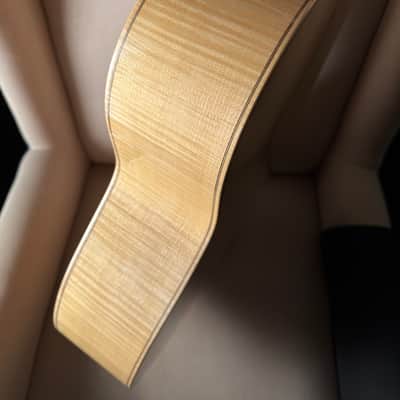 Joshia de Jonge Concert Model Classical image 10
