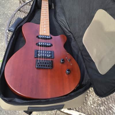 Godin Exit 22 S USA / Canada Mahogany Electric Guitar W/Bag image 19