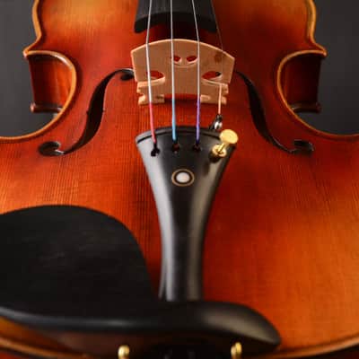 One piece back! Antonio Stradivari 1709 "The Viotti" Copy T20 4/4 violin, Best tone image 7