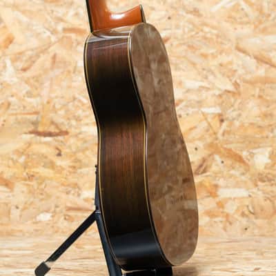 Kohno Masaru Professional 10Strings image 5