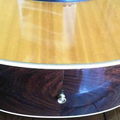 Epiphone Norlin NO-390 Acoustic Guitar with Hard Shell Case image 9
