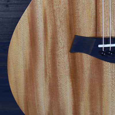 Taylor Guitars 24ce Mahogany Top Grand Auditorium w/ Fishman Electronics image 18