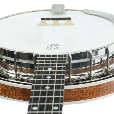 Deering Sierra 5 String 1999 image 12