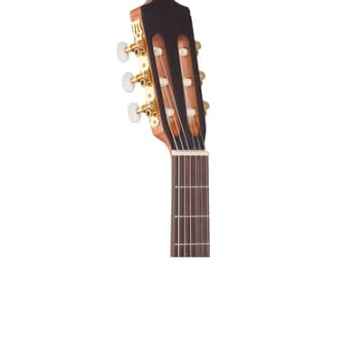 Cordoba Protege C1M Nylon Guitar Three Quarter Size image 4