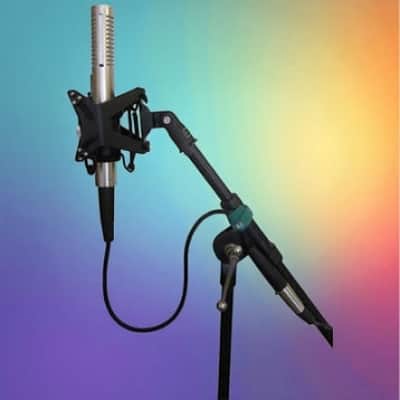 Royer Labs Royer R-122 Mkii-bundled With Rsm-ss1 (sling Shock), R-122 MKII-BNDL image 2