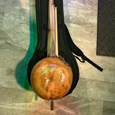 Jeff Menzies Gourd Banjo 2019 Bild 2