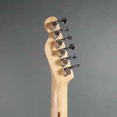 Alien Alloy Guitars - Polymorph - #004 image 8