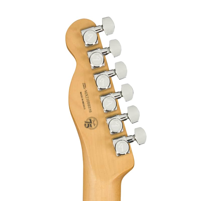 Fender Player Plus Telecaster | Reverb