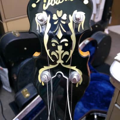 Ibanez 1975 Artist "Vine" Banjo 593FB *RARE* image 11