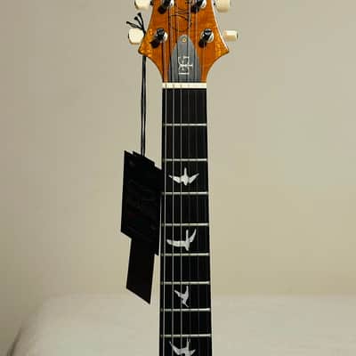 PRS DGT Wood Library One Piece 10-Top - Brazilian Rosewood Fretboard Yellow Tiger beauty image 4