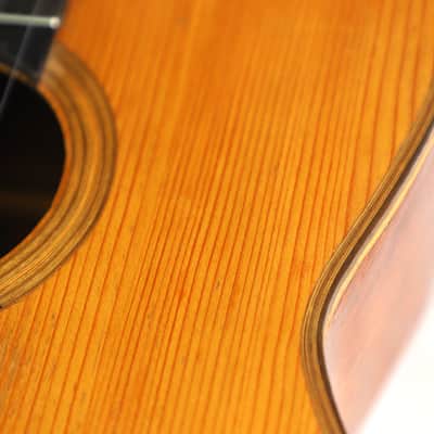 Terraza Resonador 1898 – Ex. Regino Sainz de la Maza? - extremely rare classical guitar by Carlos Terraza/Salvador Ibanez - Francisco Tárrega played one - video! image 13