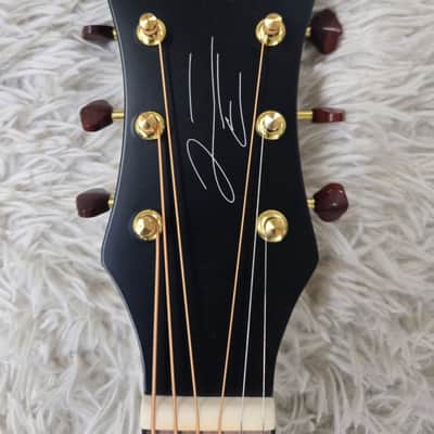 Recording King RPS-JTE-T Justin Townes Earle Single O Acoustic Guitar - B-Stock image 4