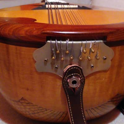 Liuto cantabile (mandocello 5 courses) image 12