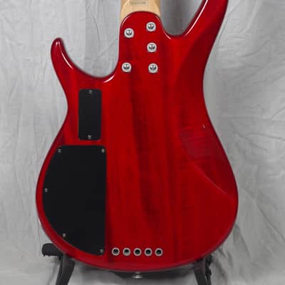 Peavey Fury 5 String Bass image 5