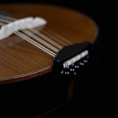 Junio Americo 10-String Mandolin | Brazil (with VS Tuners) image 5