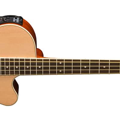 Washburn AB5K Spruce Top Mahogany Neck 4-String Acoustic Bass Guitar w/Gig Bag image 5