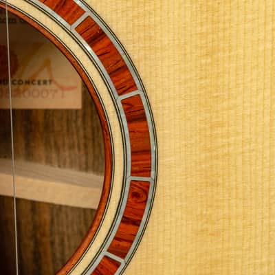 Taylor - Custom Grand Concert Acoustic Guitar - Bocote/Lutz - Natural - w/ Taylor Custom Hardshell Case - x0071 (USED) image 11