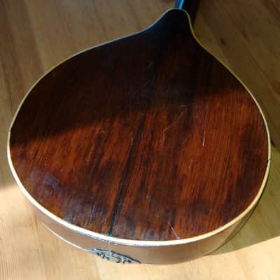 Cased George P. Matthew Mandolin 1882-1910 image 16