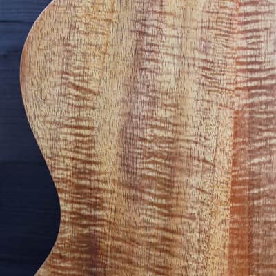 Taylor Academy 12e LTD AA Koa / Torrified Sitka Limited Availability image 11