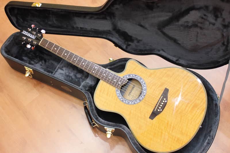 Fernandes FAA-500E | Reverb