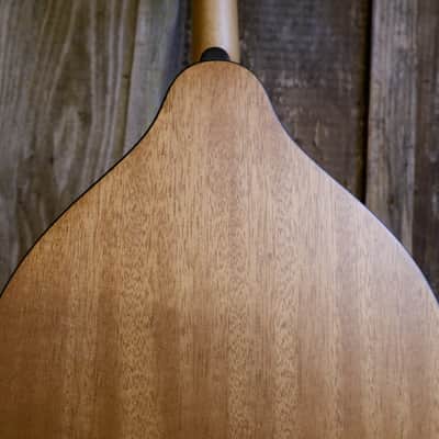 Eastman PCH M-104-NAT A-Style Mandolin - Natural image 16