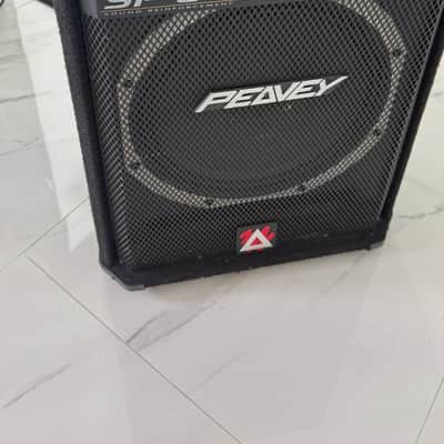 Peavey - SP5G - 1x15 Passive Bi-Amped PA Speaker - 8 OHms, 1000 Watts - x7254 - USED image 1