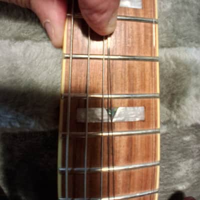 Epiphone DC Pro 2019 - 2024 - Black Cherry image 4