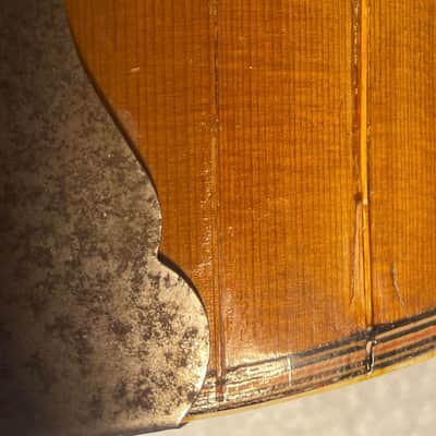 Lyon & Healy Parlor Guitar 1890 Natural - Fit perfectly with a New Guardian CG 018 TP Parlor Case image 18