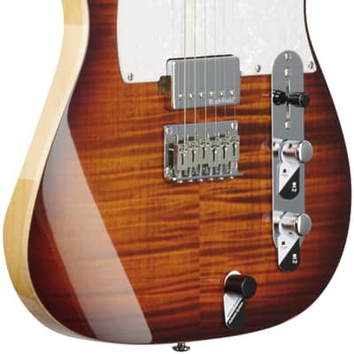 Michael Kelly Hybrid '55 Electric Guitar, Pau Ferro Fingerboard, Tiger Eye Burst image 4